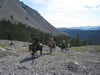 IMG 0489